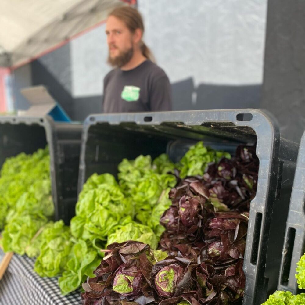 leafy greens at a farmers market
